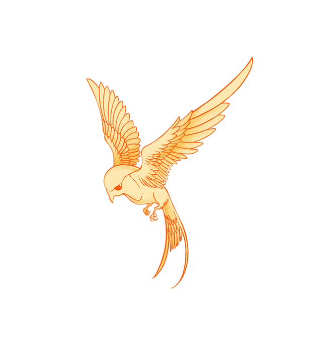 bird
